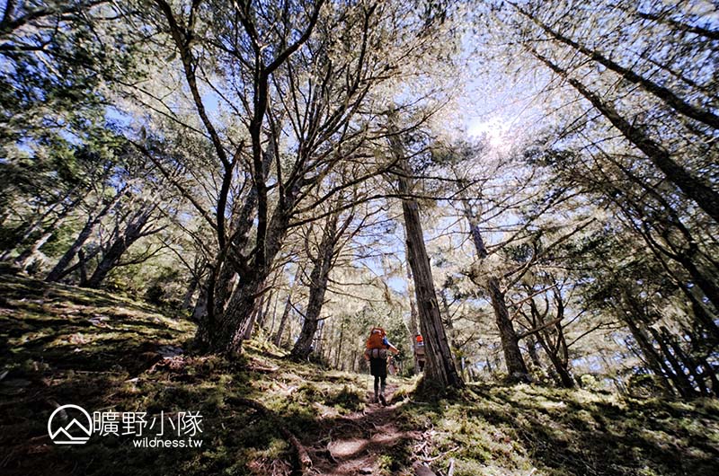 高爾夫球場營地後方林徑