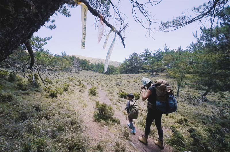 離開森林進入高山草原區